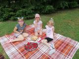piknik-elfy-1.jpg